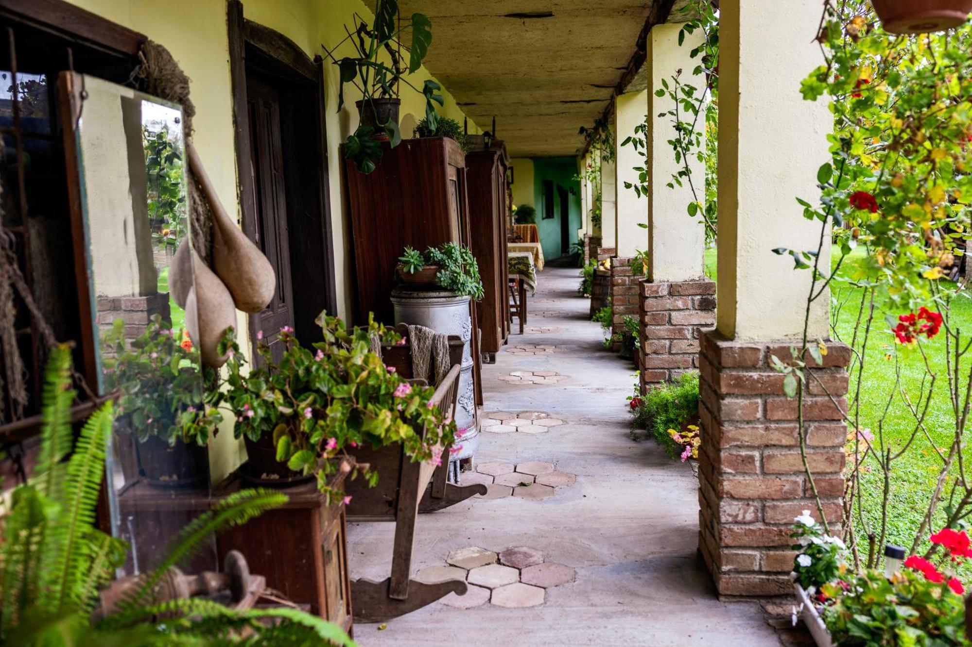 Snasini Kucari Bed & Breakfast Gradiste Exterior foto